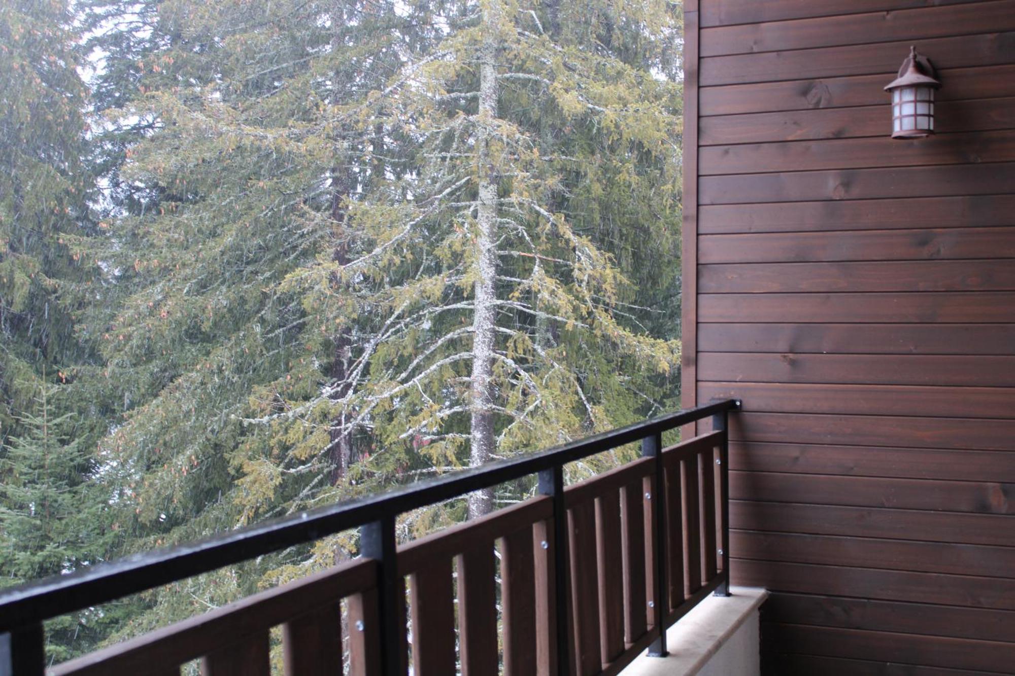 Mountain Studio Asp E63 Borovets Gardens Exteriér fotografie