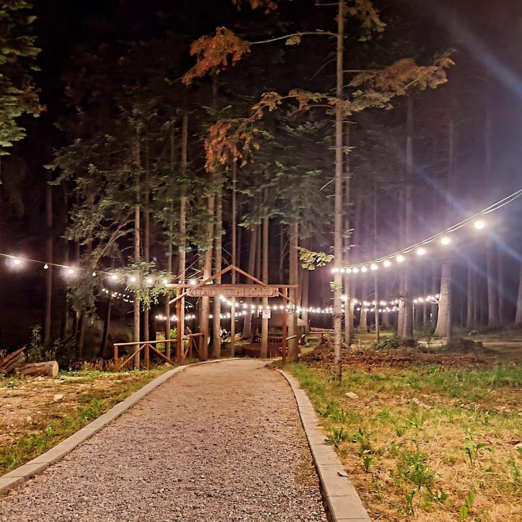 Mountain Studio Asp E63 Borovets Gardens Exteriér fotografie